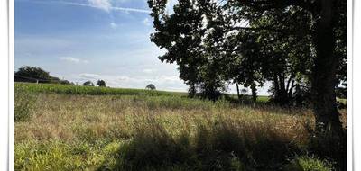 Terrain seul à Kerfourn en Morbihan (56) de 1081 m² à vendre au prix de 33000€ - 2