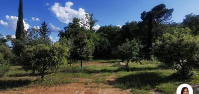 Terrain seul à Lorgues en Var (83) de 1092 m² à vendre au prix de 131000€ - 1