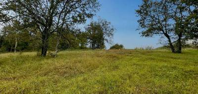 Terrain seul à Bassillac et Auberoche en Dordogne (24) de 4691 m² à vendre au prix de 29000€ - 3