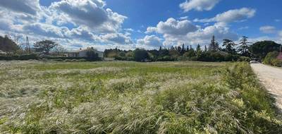 Terrain seul à Cheval-Blanc en Vaucluse (84) de 3087 m² à vendre au prix de 750000€ - 3