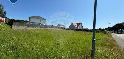 Terrain seul à Werentzhouse en Haut-Rhin (68) de 923 m² à vendre au prix de 103000€ - 2