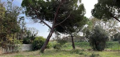 Terrain seul à Florensac en Hérault (34) de 600 m² à vendre au prix de 129000€ - 4