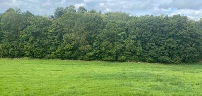 Terrain seul à Genneville en Calvados (14) de 1600 m² à vendre au prix de 74500€ - 1