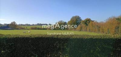 Terrain seul à Ciral en Orne (61) de 5152 m² à vendre au prix de 29000€ - 4