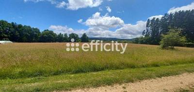 Terrain seul à Ruynes-en-Margeride en Cantal (15) de 10021 m² à vendre au prix de 53889€ - 2