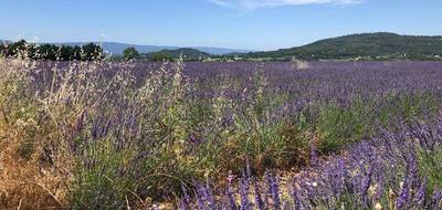 Terrain seul à Rustrel en Vaucluse (84) de 1311 m² à vendre au prix de 165000€ - 3