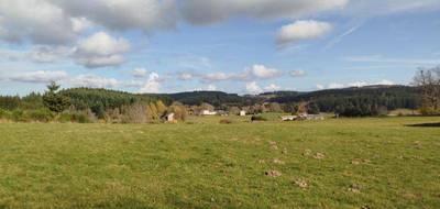 Terrain seul à Saint-Germain-l'Herm en Puy-de-Dôme (63) de 4437 m² à vendre au prix de 39990€ - 1