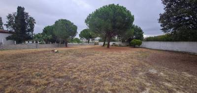 Terrain seul à Magalas en Hérault (34) de 1305 m² à vendre au prix de 195000€ - 1