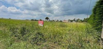 Terrain seul à Noyen-sur-Sarthe en Sarthe (72) de 8780 m² à vendre au prix de 86000€ - 1