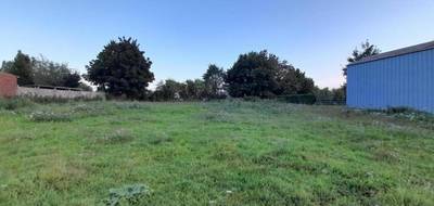 Terrain seul à Puisieux en Pas-de-Calais (62) de 0 m² à vendre au prix de 50000€ - 1