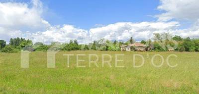 Programme terrain + maison à Viterbe en Tarn (81) de 660 m² à vendre au prix de 205100€ - 2