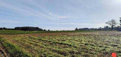 Terrain seul à Saint-Georges en Lot-et-Garonne (47) de 27494 m² à vendre au prix de 69000€ - 3