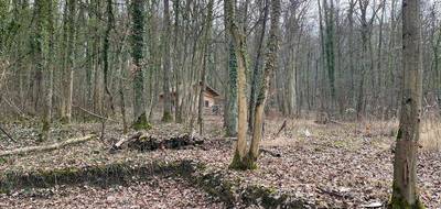 Terrain seul à Malroy en Moselle (57) de 61797 m² à vendre au prix de 190000€ - 3