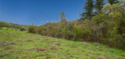 Terrain seul à Caunes-Minervois en Aude (11) de 1600 m² à vendre au prix de 80000€ - 4