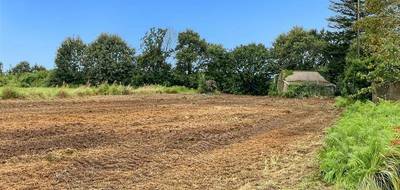 Terrain seul à Bannalec en Finistère (29) de 2515 m² à vendre au prix de 30000€ - 1