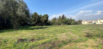 Terrain seul à Ouveillan en Aude (11) de 730 m² à vendre au prix de 127300€ - 3