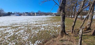 Terrain seul à Saint-Flour en Cantal (15) de 10540 m² à vendre au prix de 63240€ - 2