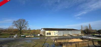 Terrain seul à Juvigné en Mayenne (53) de 5449 m² à vendre au prix de 150000€ - 1