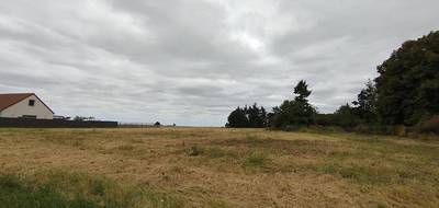 Terrain seul à Selommes en Loir-et-Cher (41) de 1001 m² à vendre au prix de 28000€ - 3