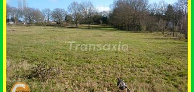 Terrain seul à Vallon-en-Sully en Allier (03) de 9840 m² à vendre au prix de 64000€ - 1