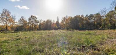 Terrain seul à Pruniers-en-Sologne en Loir-et-Cher (41) de 1010 m² à vendre au prix de 32990€ - 3