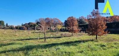 Terrain seul à Brissac en Hérault (34) de 1001 m² à vendre au prix de 132000€ - 4