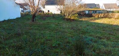 Terrain seul à Crach en Morbihan (56) de 664 m² à vendre au prix de 249500€ - 4