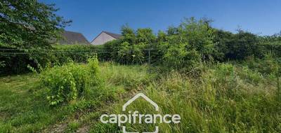 Terrain seul à Châtenoy-le-Royal en Saône-et-Loire (71) de 703 m² à vendre au prix de 56500€ - 3