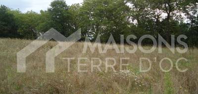 Terrain seul à Rabastens en Tarn (81) de 589 m² à vendre au prix de 77000€ - 1