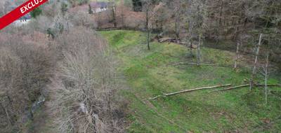 Terrain seul à Forgès en Corrèze (19) de 13515 m² à vendre au prix de 20000€ - 4