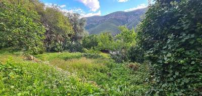 Terrain seul à Occhiatana en Haute-Corse (2B) de 585 m² à vendre au prix de 108000€ - 1