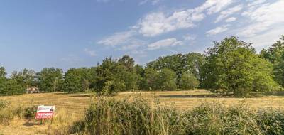 Terrain seul à La Ferté-Imbault en Loir-et-Cher (41) de 3565 m² à vendre au prix de 31990€ - 3