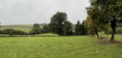 Terrain seul à Moissannes en Haute-Vienne (87) de 2752 m² à vendre au prix de 20000€ - 3