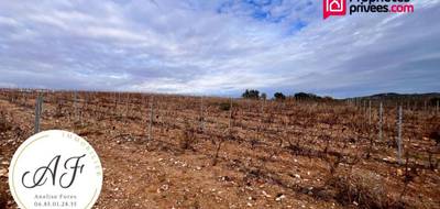 Terrain seul à Passa en Pyrénées-Orientales (66) de 135000 m² à vendre au prix de 76100€ - 2