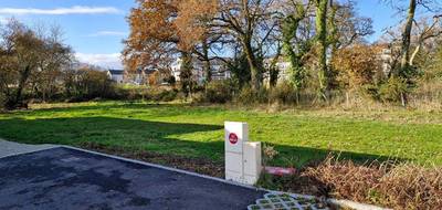 Terrain seul à Vannes en Morbihan (56) de 587 m² à vendre au prix de 288750€ - 3