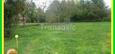 Terrain seul à Lamotte-Beuvron en Loir-et-Cher (41) de 1462 m² à vendre au prix de 70000€ - 3