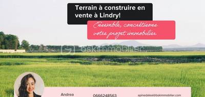 Terrain seul à Lindry en Yonne (89) de 902 m² à vendre au prix de 39800€ - 1