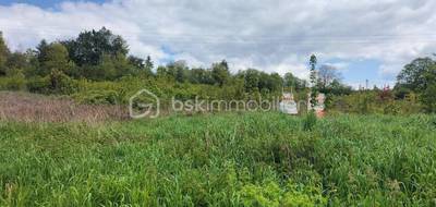 Terrain seul à Pourrain en Yonne (89) de 864 m² à vendre au prix de 28900€ - 1