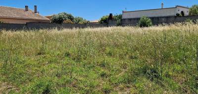 Terrain seul à Adissan en Hérault (34) de 802 m² à vendre au prix de 178500€ - 2