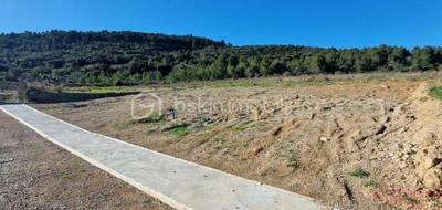 Terrain seul à Embres-et-Castelmaure en Aude (11) de 3160 m² à vendre au prix de 89900€ - 3