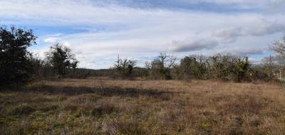 Terrain seul à Saint Géry-Vers en Lot (46) de 2750 m² à vendre au prix de 52000€ - 2