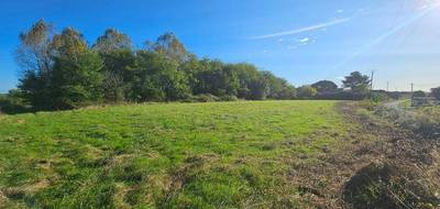 Terrain seul à Peyre en Landes (40) de 10452 m² à vendre au prix de 130000€ - 2