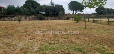 Terrain seul à Arboussols en Pyrénées-Orientales (66) de 1000 m² à vendre au prix de 116000€ - 4