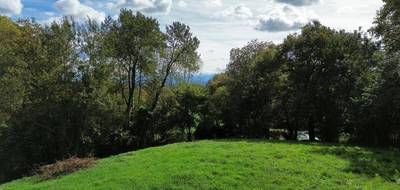 Terrain seul à Tabaille-Usquain en Pyrénées-Atlantiques (64) de 2900 m² à vendre au prix de 49000€ - 1