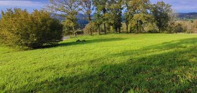 Terrain seul à Sioniac en Corrèze (19) de 2604 m² à vendre au prix de 39500€ - 1