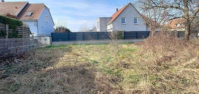 Terrain seul à Sainte-Croix-en-Plaine en Haut-Rhin (68) de 600 m² à vendre au prix de 151800€ - 4