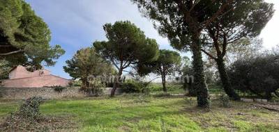 Terrain seul à Florensac en Hérault (34) de 600 m² à vendre au prix de 129000€ - 1