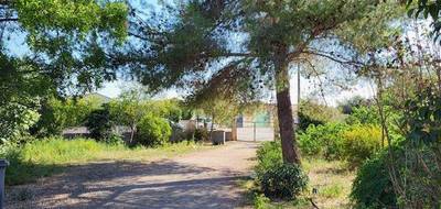 Terrain seul à Canet en Hérault (34) de 500 m² à vendre au prix de 170000€ - 1