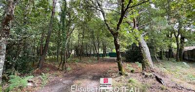 Terrain seul à Sanguinet en Landes (40) de 1677 m² à vendre au prix de 49990€ - 4