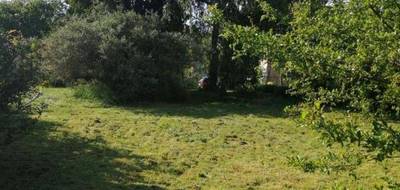 Terrain seul à Cuise-la-Motte en Oise (60) de 514 m² à vendre au prix de 30000€ - 3